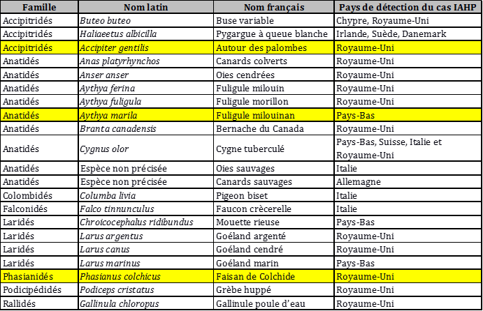 Tableau 2: Liste des espèces d'avifaune sauvage impliquées dans les cas d'IAHP en Europe du 1er octobre 2017 au 6 mars 2018 (source : ADNS) (en jaune : les nouvelles espèces/localisations depuis le dernier point)