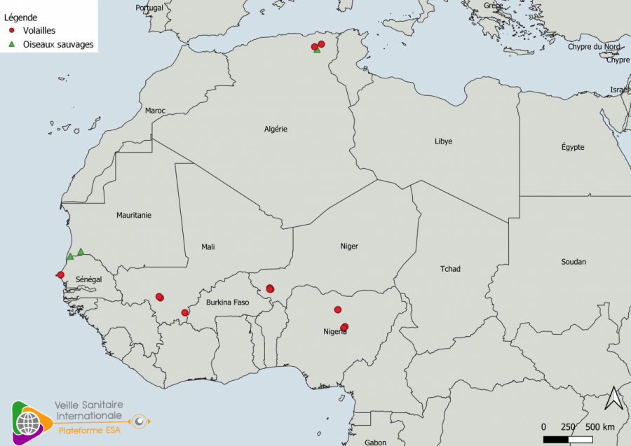 Localisation des cas en faune sauvage et foyers domestiques d’IAHP H5 en Afrique  du Nord et de l’Ouest