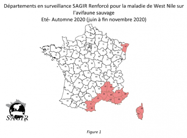 Carte Bilan West Nile