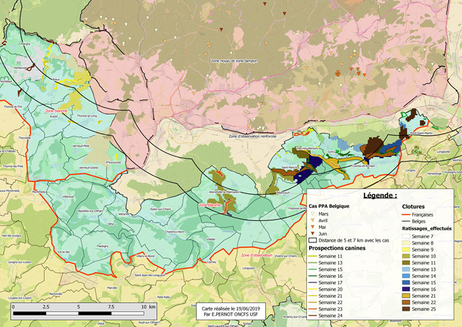 Carte Synthèse des zones ratissées des semaines 7 à 25 avec circuits de prospection canine pour les semaines 11 à 25