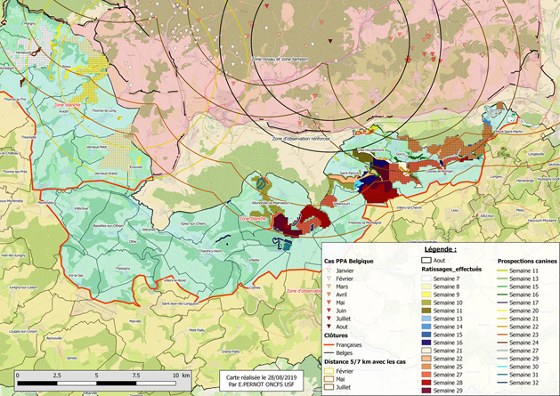 Synthèse des zones ratissées des semaines 7 à 32 avec circuits de prospection canine semaines 11 à 32