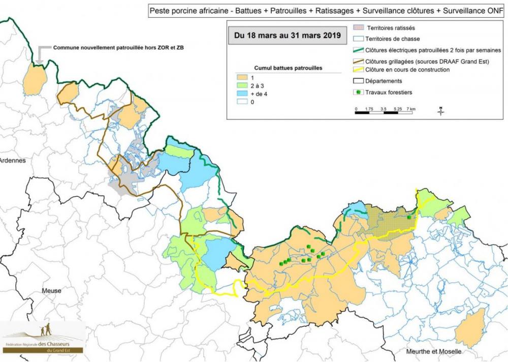 Carte bilan