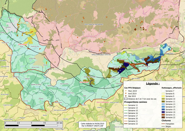 Carte Synthèse des zones ratissées des semaines 7 à 21 avec circuits de prospection canine pour les semaines 11 à 21