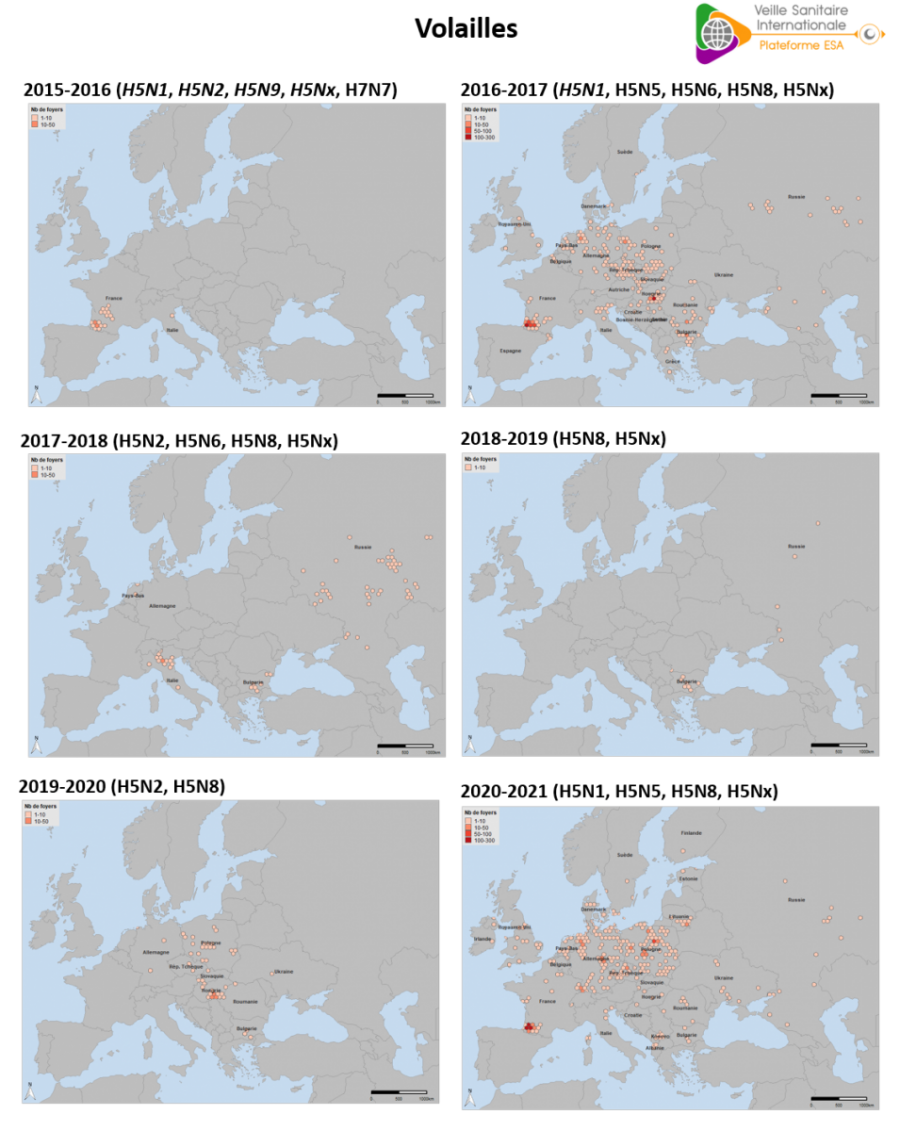 Densité des foyers domestiques d’IAHP en Europe occidentale