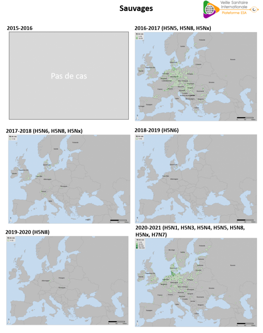 Densité de cas dans l’avifaune sauvage d’IAHP en Europe occidentale