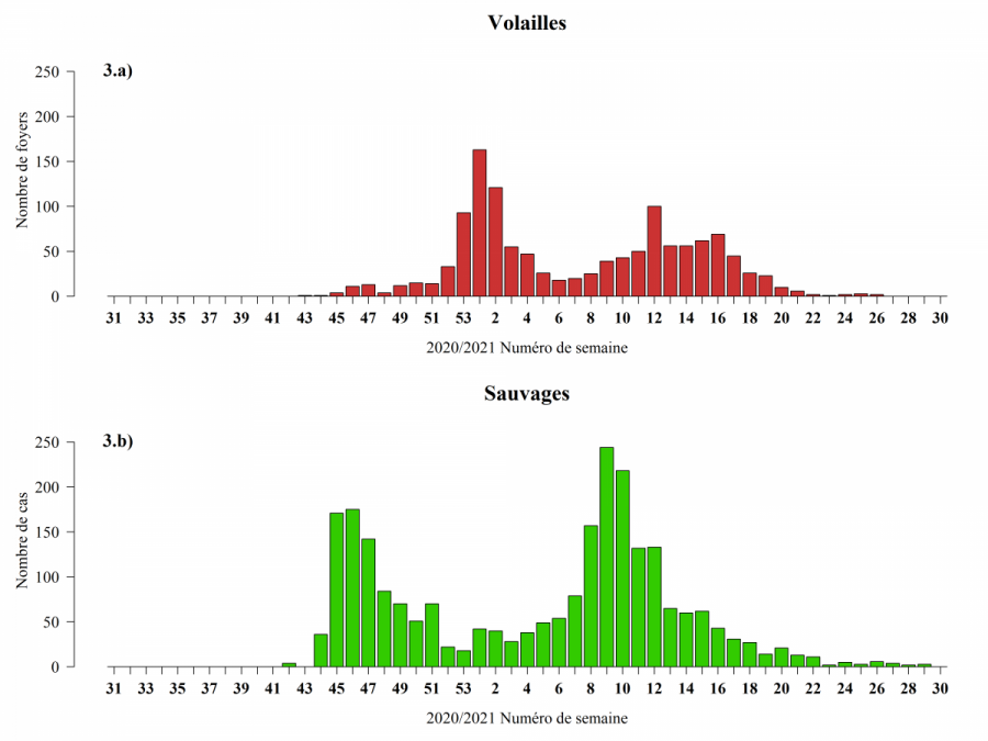 Nombre de foyers (a) ou cas (b) d’IAHP H5 par compartiment en Europe et par semaine de suspicion ou de début d’évènement