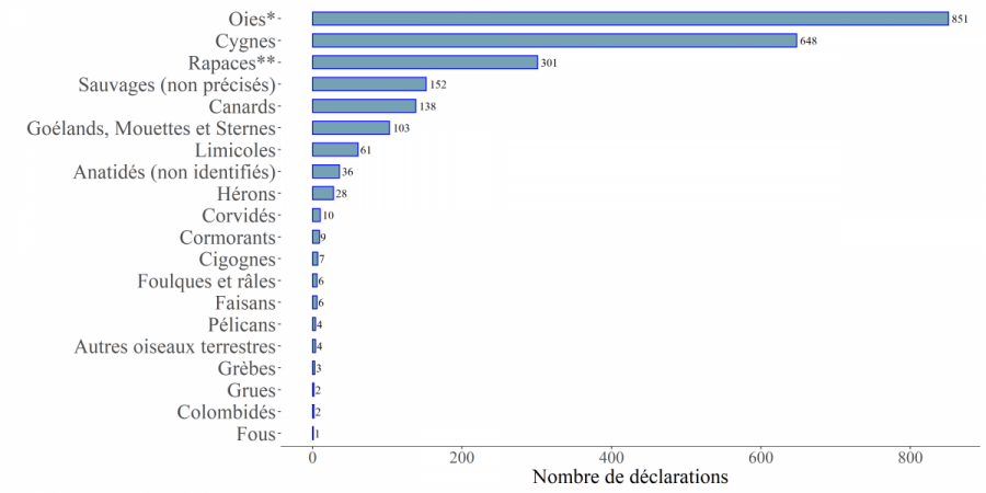 Nombre de déclarations relatives aux cas en faune sauvage d'IAHP en Europe sur ADNS-ADIS