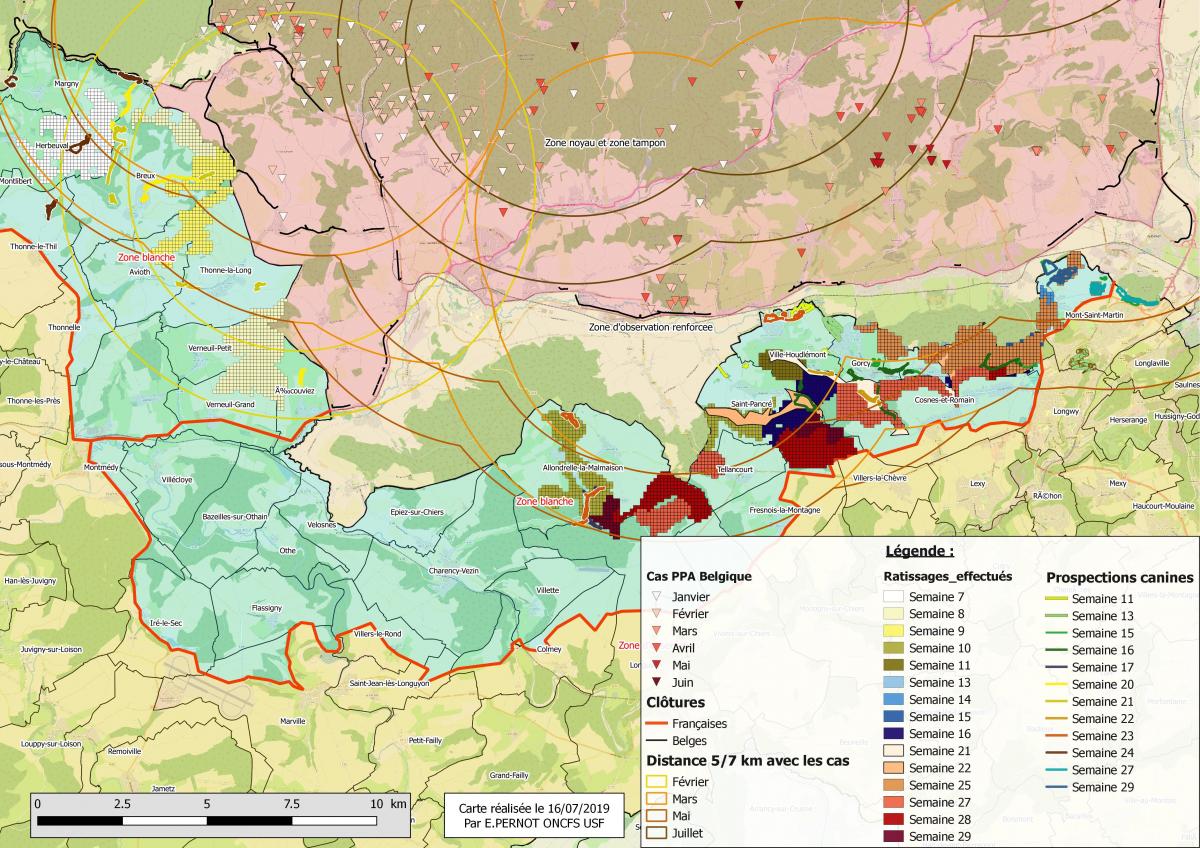 Carte Synthèse des zones ratissées des semaines 7 à 29 avec circuits de prospection canine semaines 11 à 29