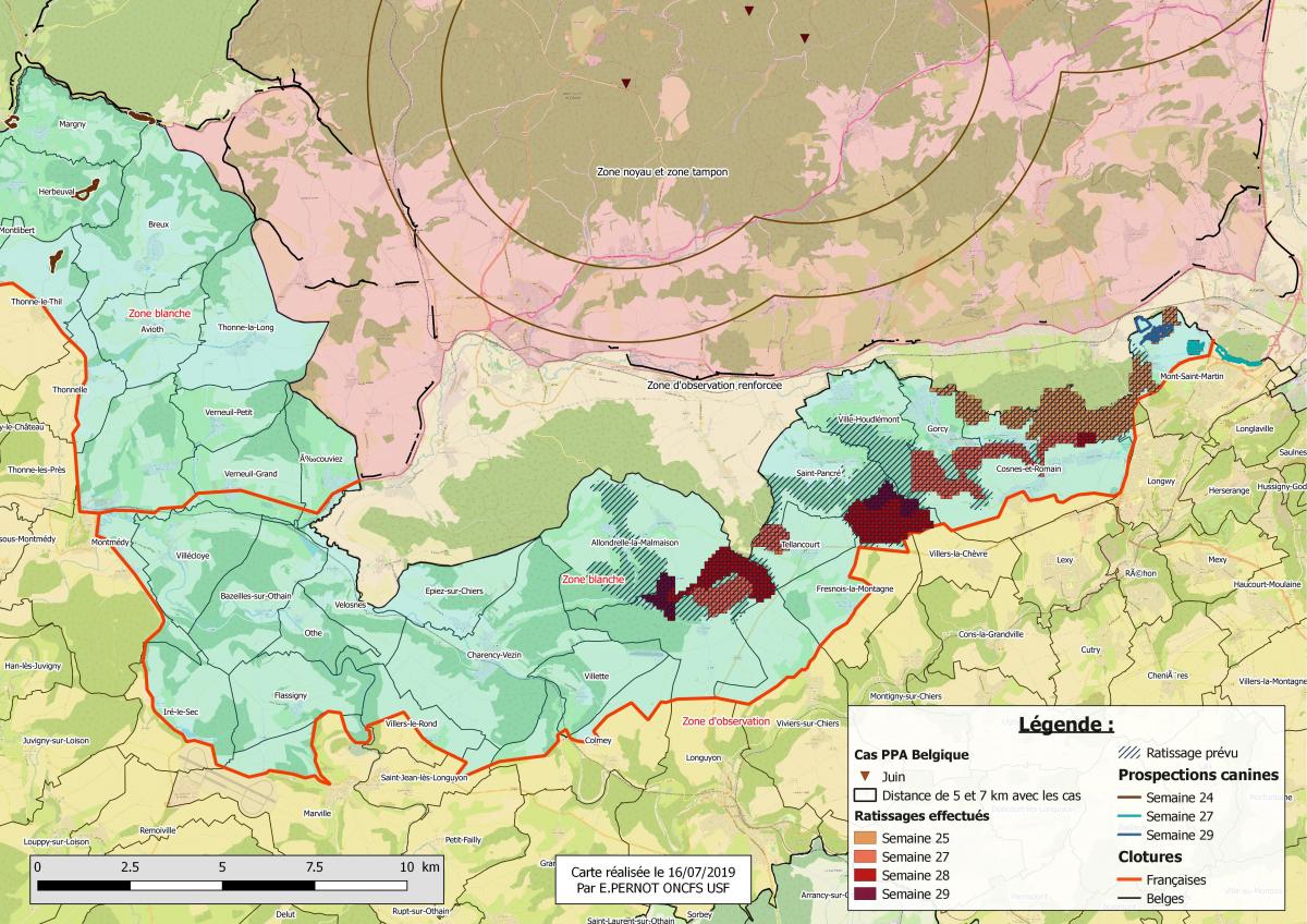 Carte Synthèse des zones ratissées et prospectées avec chiens durant les 6 dernières semaines