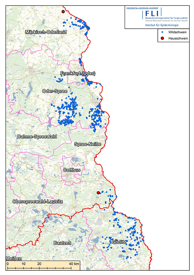 Localisation des cas sauvages et foyers domestiques de peste porcine africaine en Allemagne