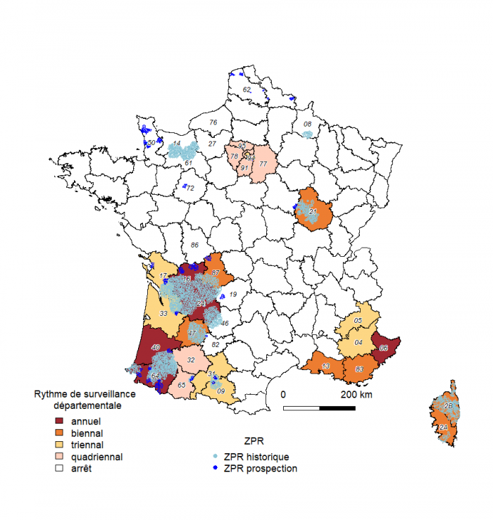 Rythmes de prophylaxie et communes en zone à prophylaxie renforcée 