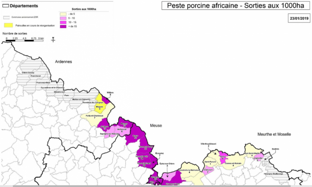 Carte nombre de sorties pour recherche active de cadavres de sangliers