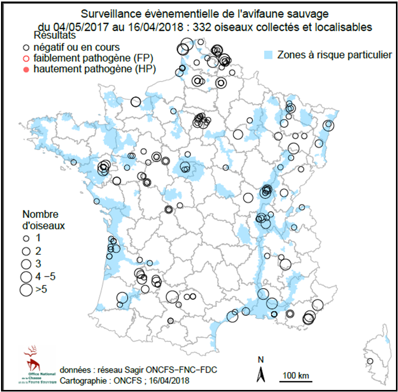 Répartition des oiseaux collectés pour la surveillance de l’influenza aviaire sur le territoire métropolitain