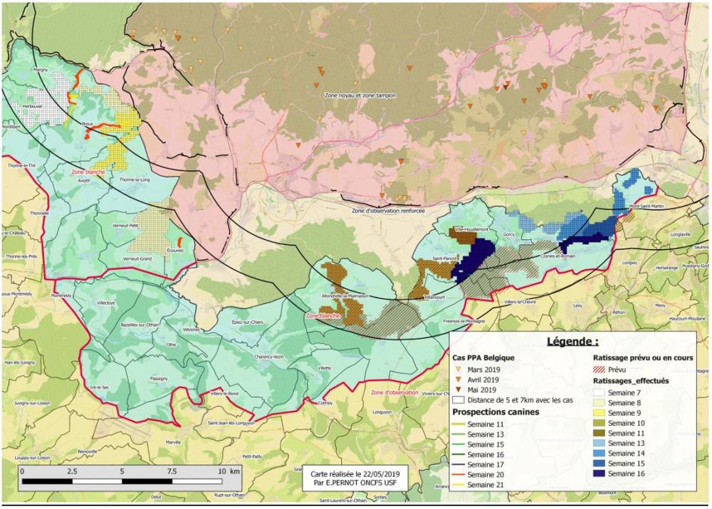 Carte Synthèse des zones ratissées des semaines 7 à 16 avec circuits de prospection canine pour les semaines 11 à 21