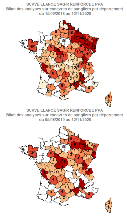 PPA Bilan des analyses sur cadavres de sangliers par département