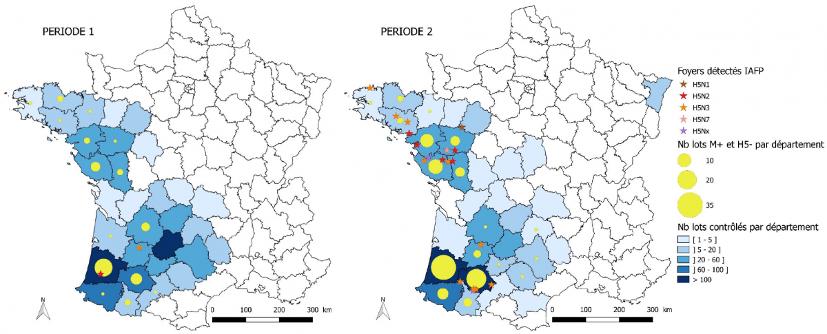 Figure 1. Répartition géographique des lots de canards prêts à gaver prélevés dans le cadre de la surveillance avant mouvement et localisation des lots contrôlés positifs