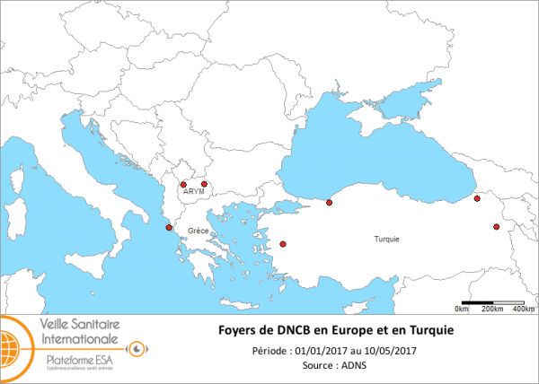 Figure 1 : Foyers de DNCB déclarés en Europe et en Turquie