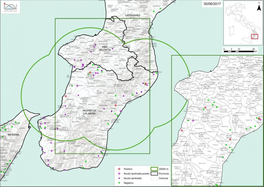 La zone étendue de 30 km pour la surveillance de A. tumida en Calabre