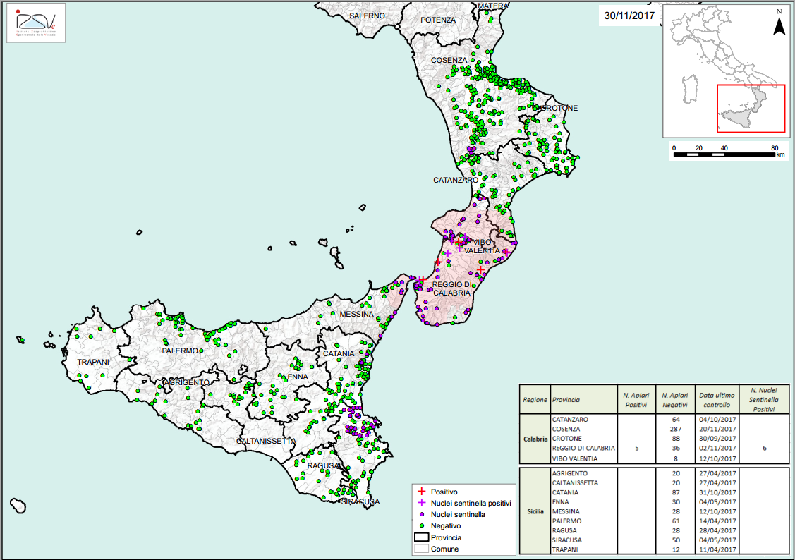 Zona sorveglianza sicilia calabria