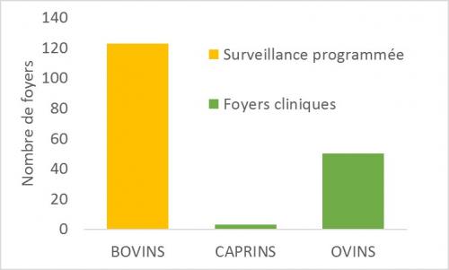 Nombre de foyers par espèce et par modalité de surveillance