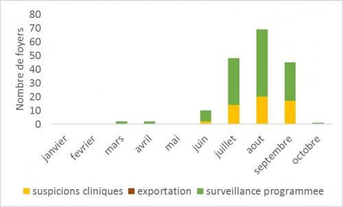 Nombre de foyers par mois et par modalité de surveillance