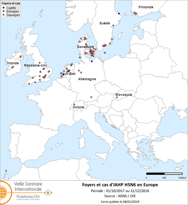 Figure 1. Carte des foyers et des cas d’IAHP H5N6 déclarés en Europe du 1er octobre 2017 au 31 décembre 2018
