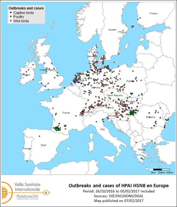 Map of outbreaks and cases of HPAI H5N8 reported in the European Union and Switzerland