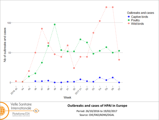 Number of outbreaks and cases of HPAI in Europe