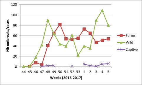 Number of outbreaks and cases of HPAI in Europe