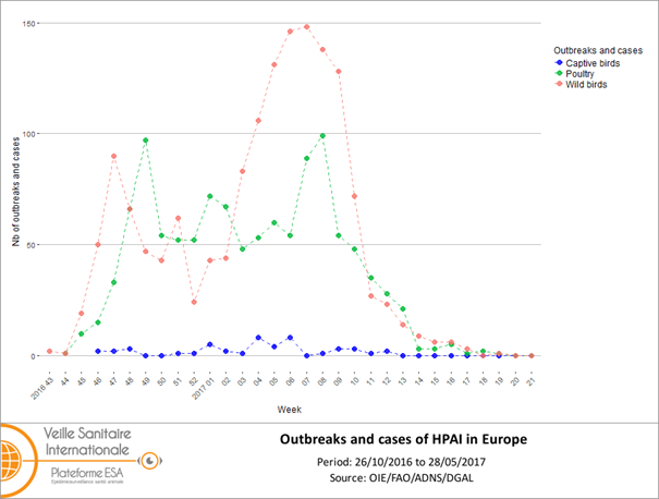 Number of outbreaks and cases of HPAI viruses