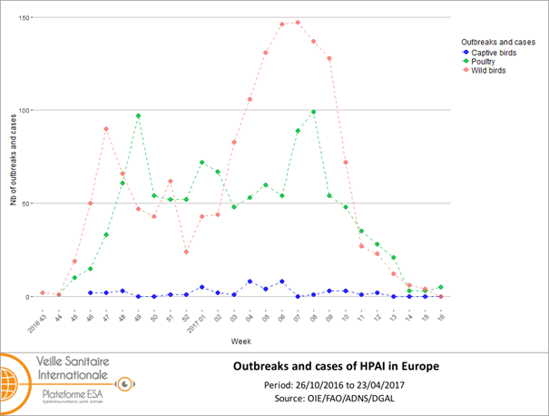 Figure 1 Number of outbreaks and cases of HPAI viruses