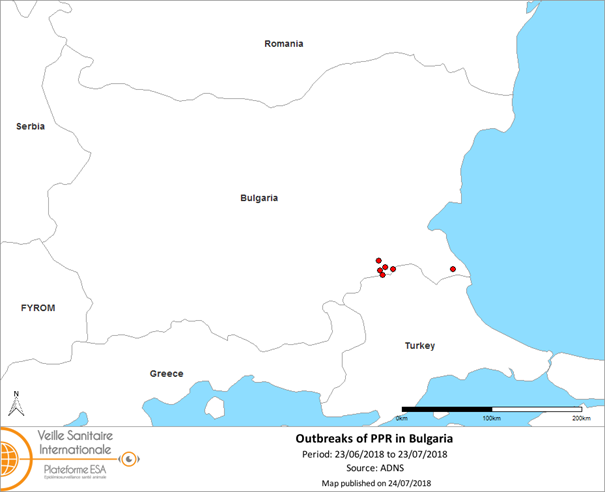 Figure 1: PPR outbreaks reported in Bulgaria as of 23rd July 2018