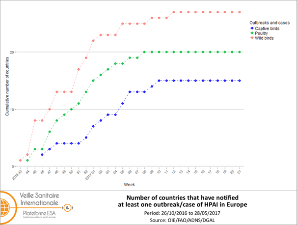 Cumulated weekly number of countries that have notified