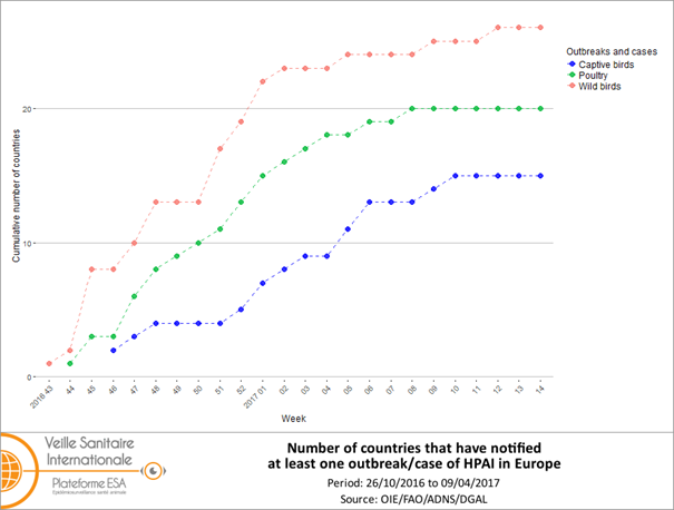 Figure 2 Cumulated weekly number of countries that have notified