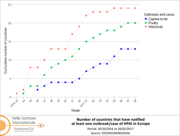 Cumulated weekly number of countries that have notified 