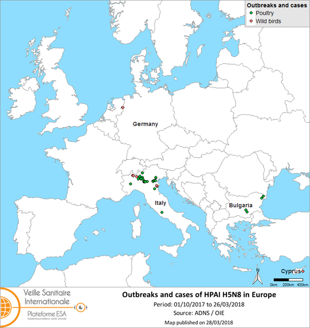 Figure 2: Map of HPAI H5N8 outbreaks and cases notified in Europe