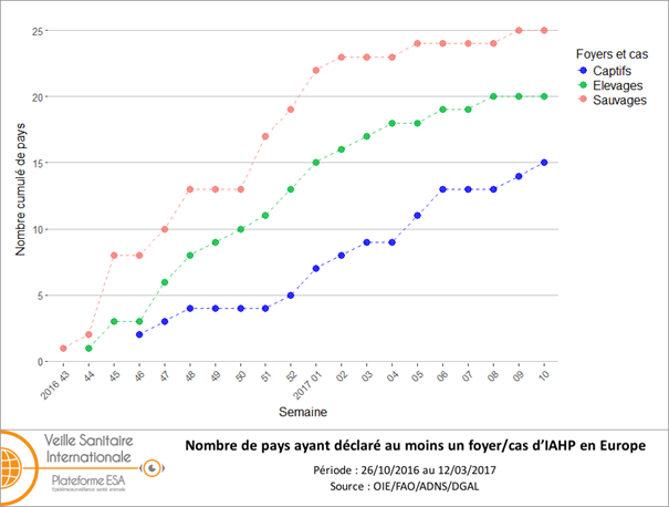 Nombre cumulé par semaine de pays ayant déclaré au moins un foyer