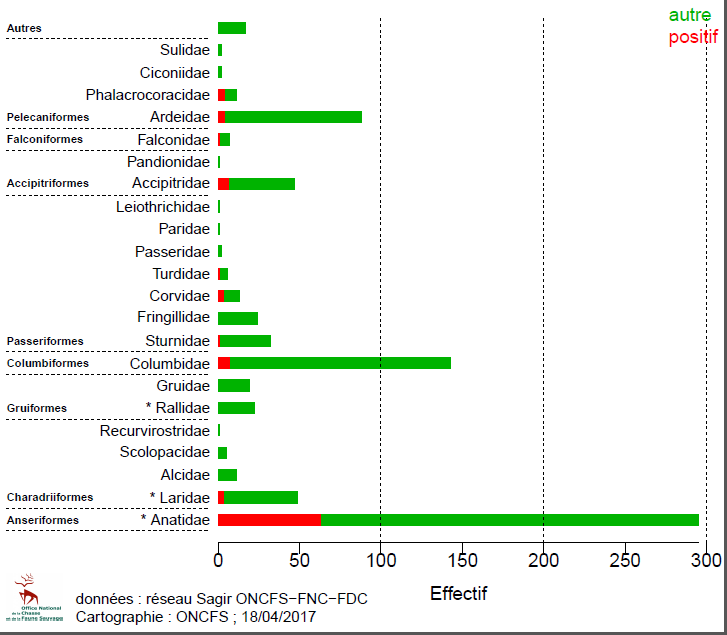 Figure 2  Répartition du nombre d'oiseaux collectés et analysés en IA et de ceux ayant été confirmés positifs H5 vis à vis de l'influenza aviaire