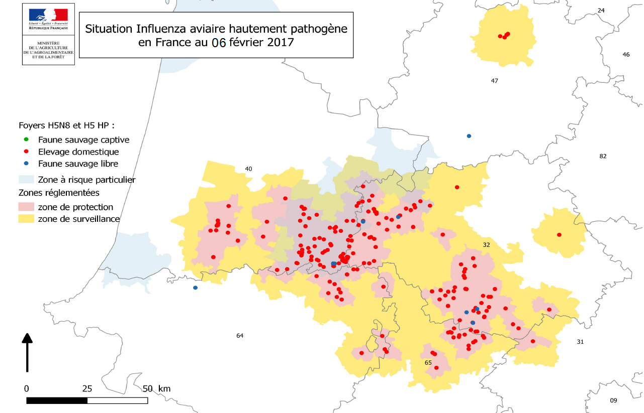 Répartition géographique des foyers et cas d'IAHP déclarés dans le Sud-Ouest 