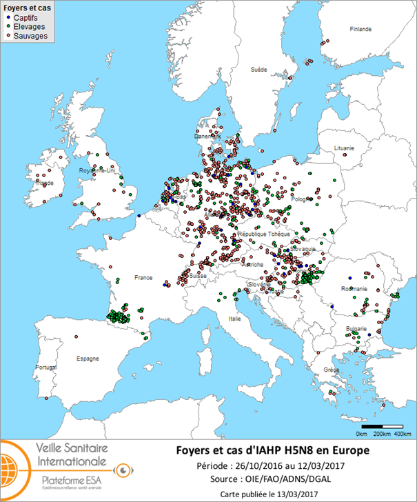 Carte des foyers et de cas d’IAHP H5N8 déclarés dans l’UE et en Suiss