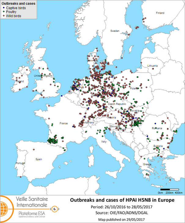 Map of outbreaks and cases of HPAI H5N8 reported in the European Union and Switzerland