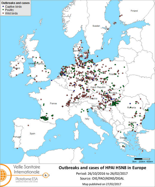 Map of outbreaks and cases of HPAI H5N8 reported in the European Union and Switzerland