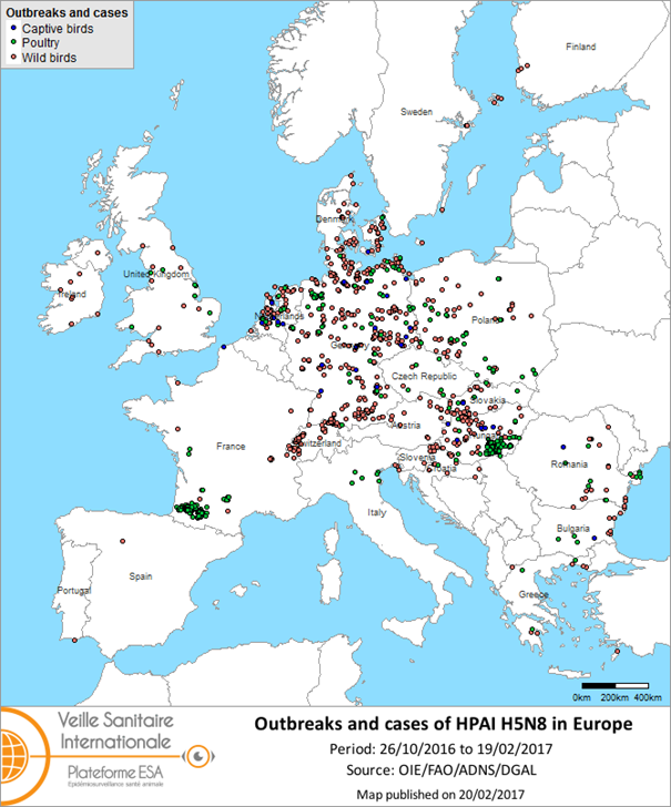 Map of outbreaks and cases of HPAI H5N8 reported in the European Union and Switzerland