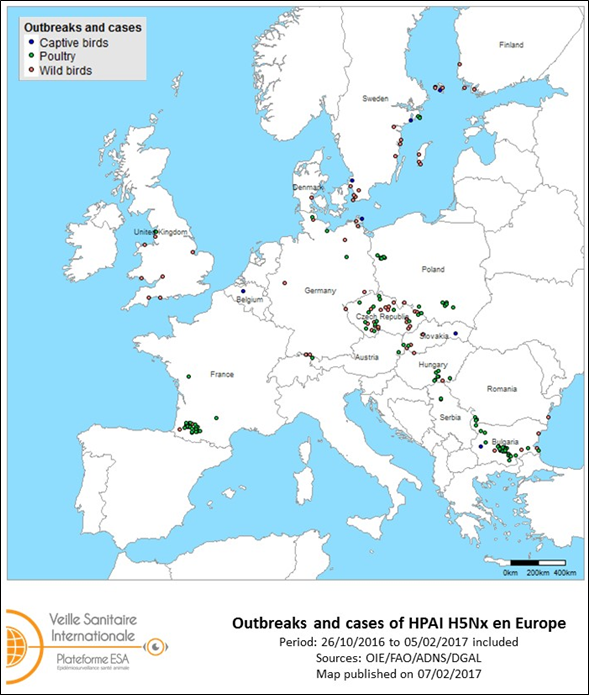 Map of outbreaks and cases of HPAI H5Nx reported in Europe