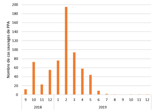 Figure 3. Série temporelle des confirmations de cas de PPA par mois en Belgique du 13/09/2018 au 31/12/2019