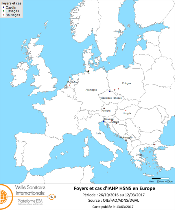 Carte des foyers et de cas d’IAHP H5N5 déclarés dans l’UE