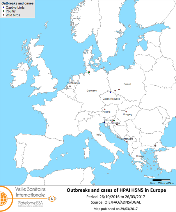 Map of outbreaks and cases of HPAI H5N5 reported in Europe