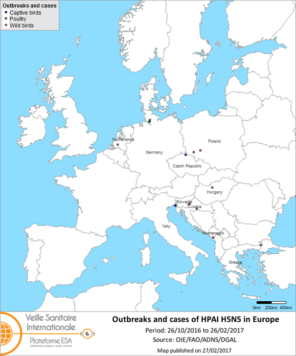 Map of outbreaks and cases of HPAI H5N5 reported in Europe