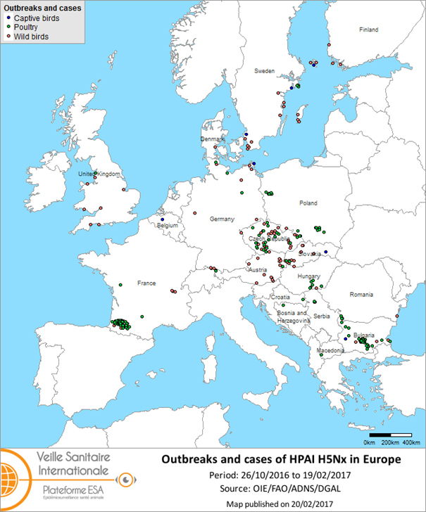Map of outbreaks and cases of HPAI H5Nx reported in Europe
