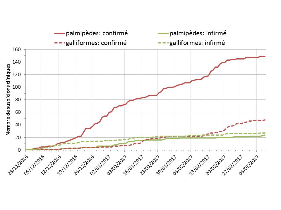 Figure 5 Nombre cumulé de suspicions cliniques d'IAHP confirmées et infirmées